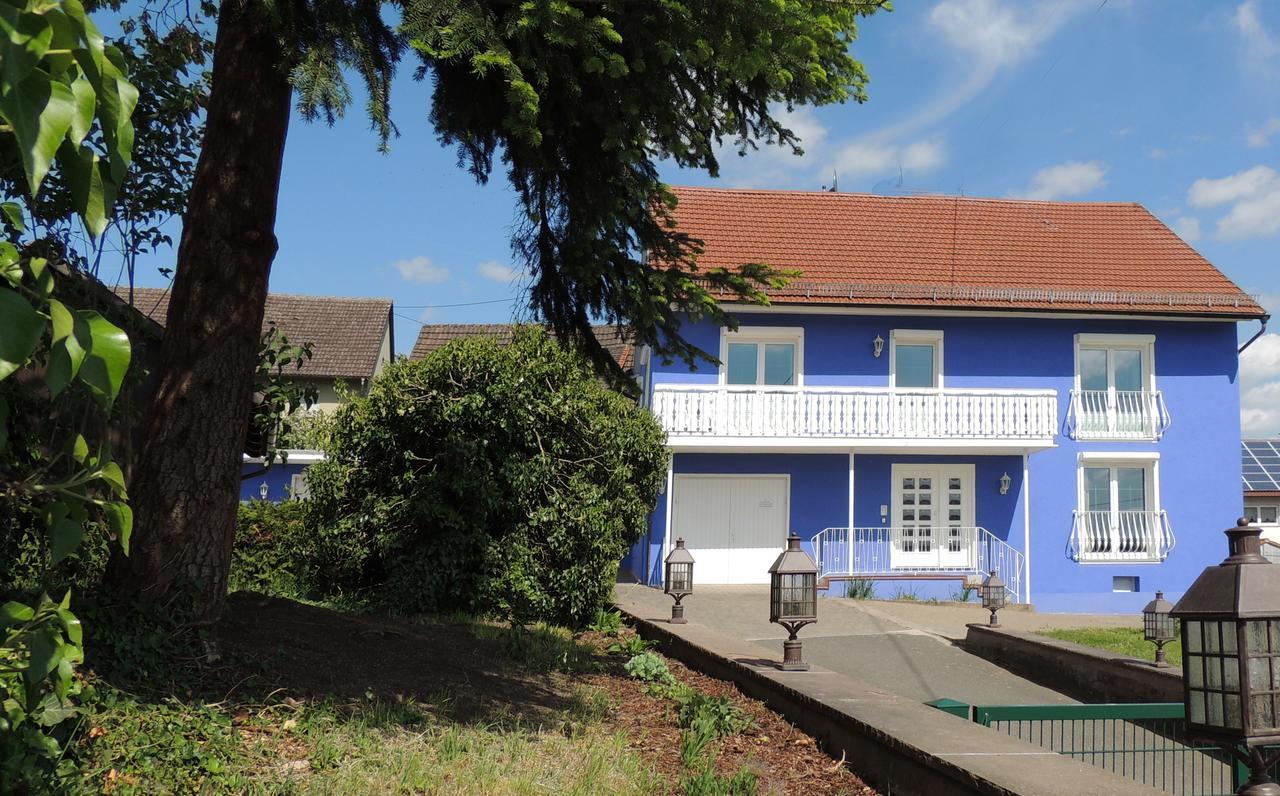 Sophia Spessarthauser Hotel Marktheidenfeld Kültér fotó